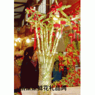北京鲜花,新春吉祥