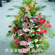 国庆节鲜花,花香鸟语