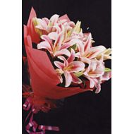 中秋节鲜花,静夜思