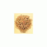 韩国,粉玫瑰花束