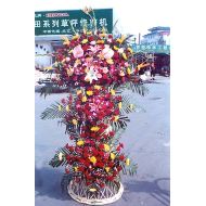 国庆节鲜花,百叶兴隆